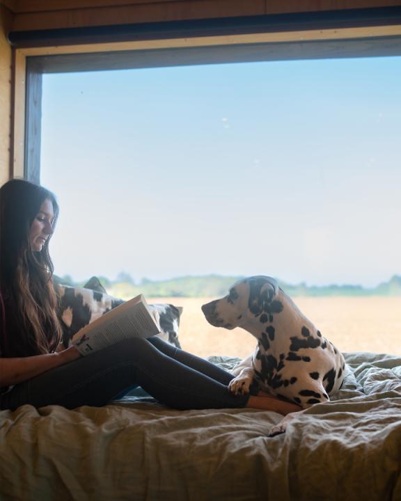 Loki The Dalmatian at unplugged! - Image #1