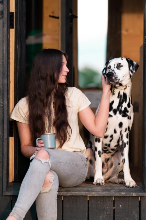 Loki the Dalmatian reactive dog friendly Cabin - Image #2