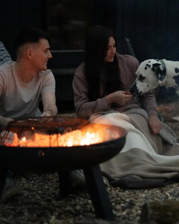 Loki the Dalmatian reactive dog friendly Cabin - Image #3