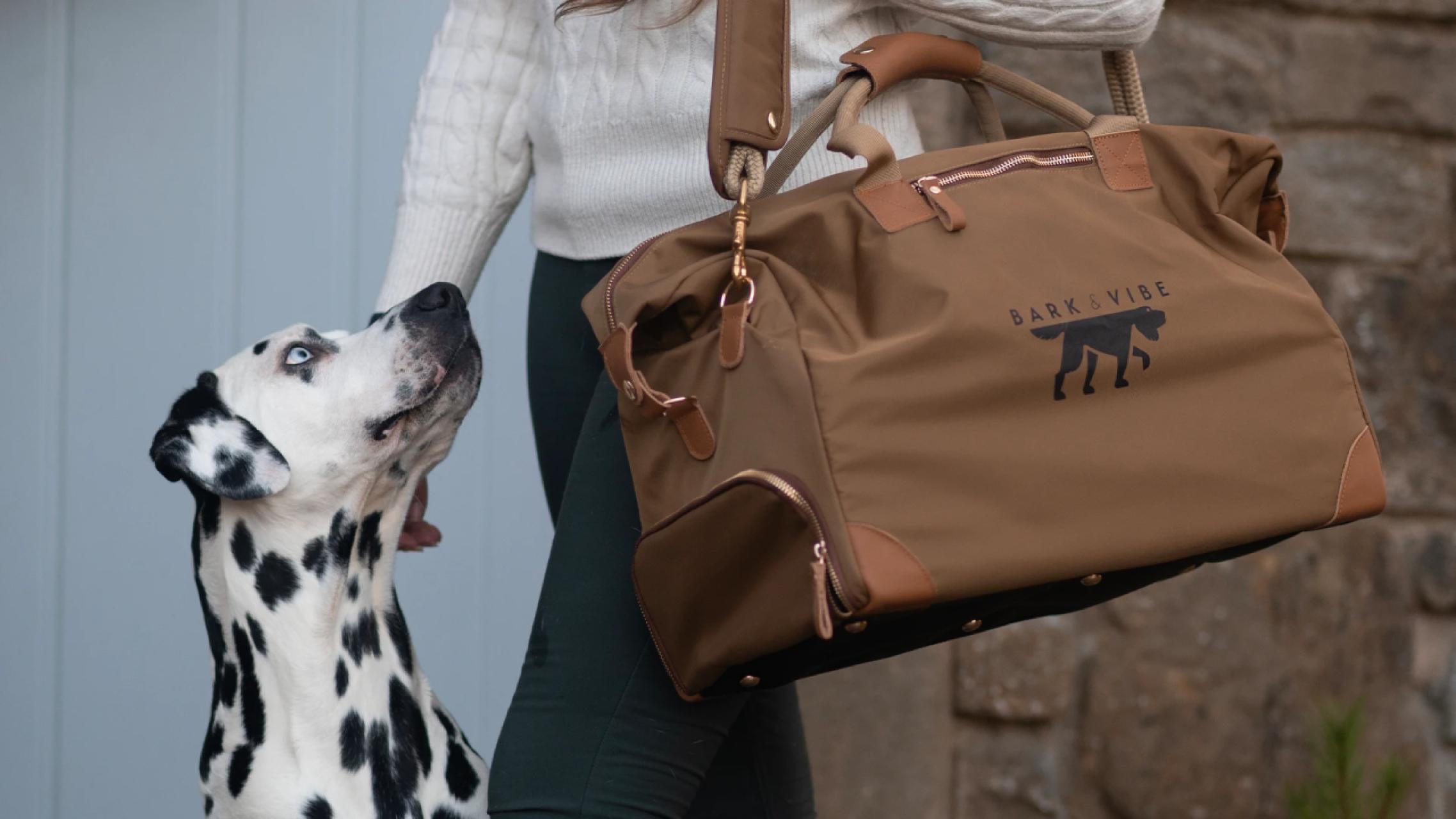 Dalmatian and Doggy Weekender bag 