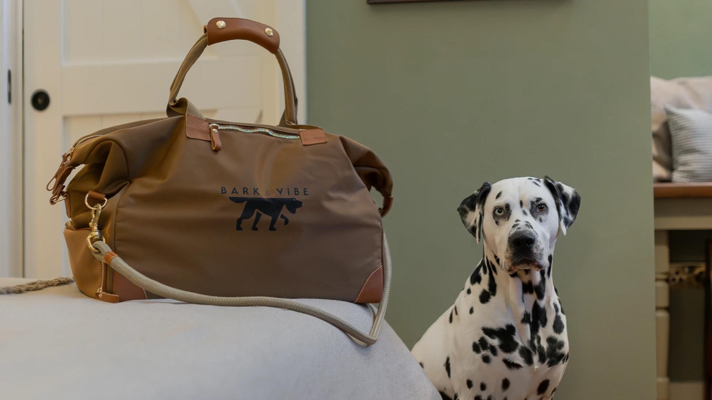 Dalmatian and Doggy Weekender bag