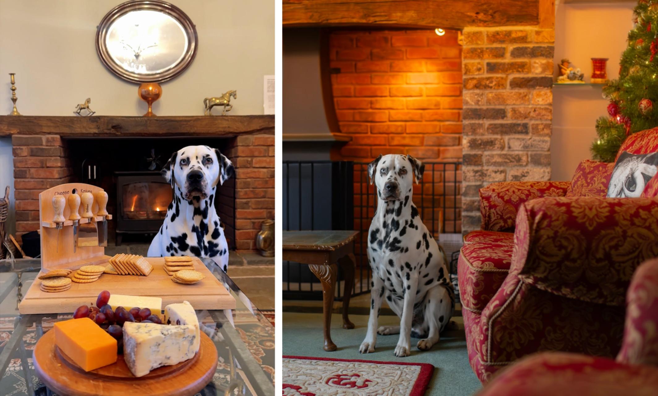 Dalmatian cosy cottage