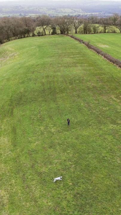 The fields from above