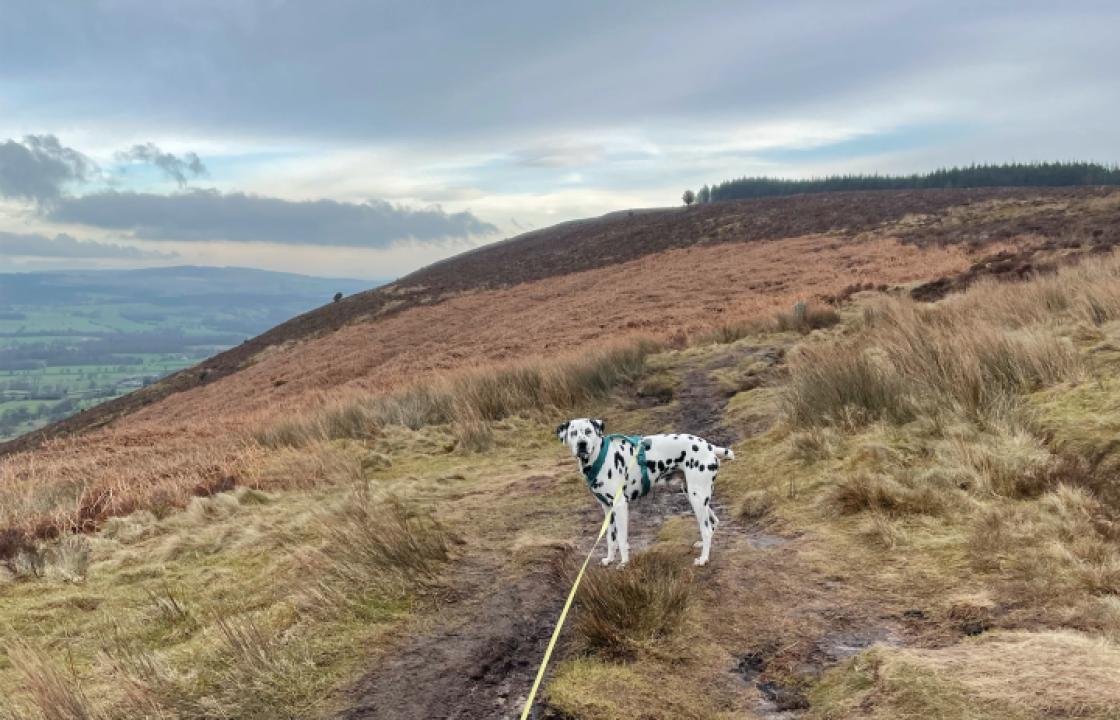 The Longridge Fell  - Image #1