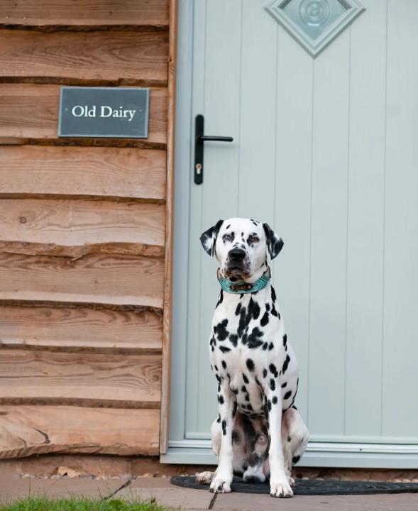 Loki guarding the entrance - Image #1