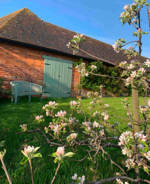 Reactive Dog Friendly B&B Field - Image #2