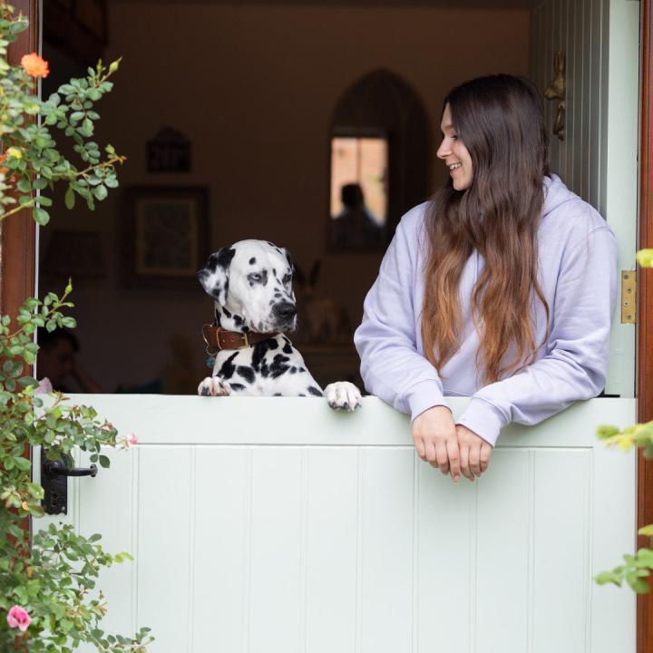 Reactive Dog Friendly B&B Cotswolds