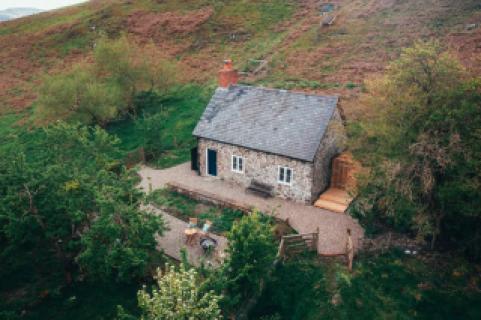 The Warren Bothy
