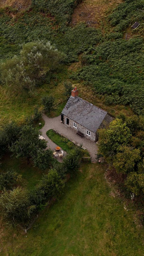 Image #2 for The Warren Bothy