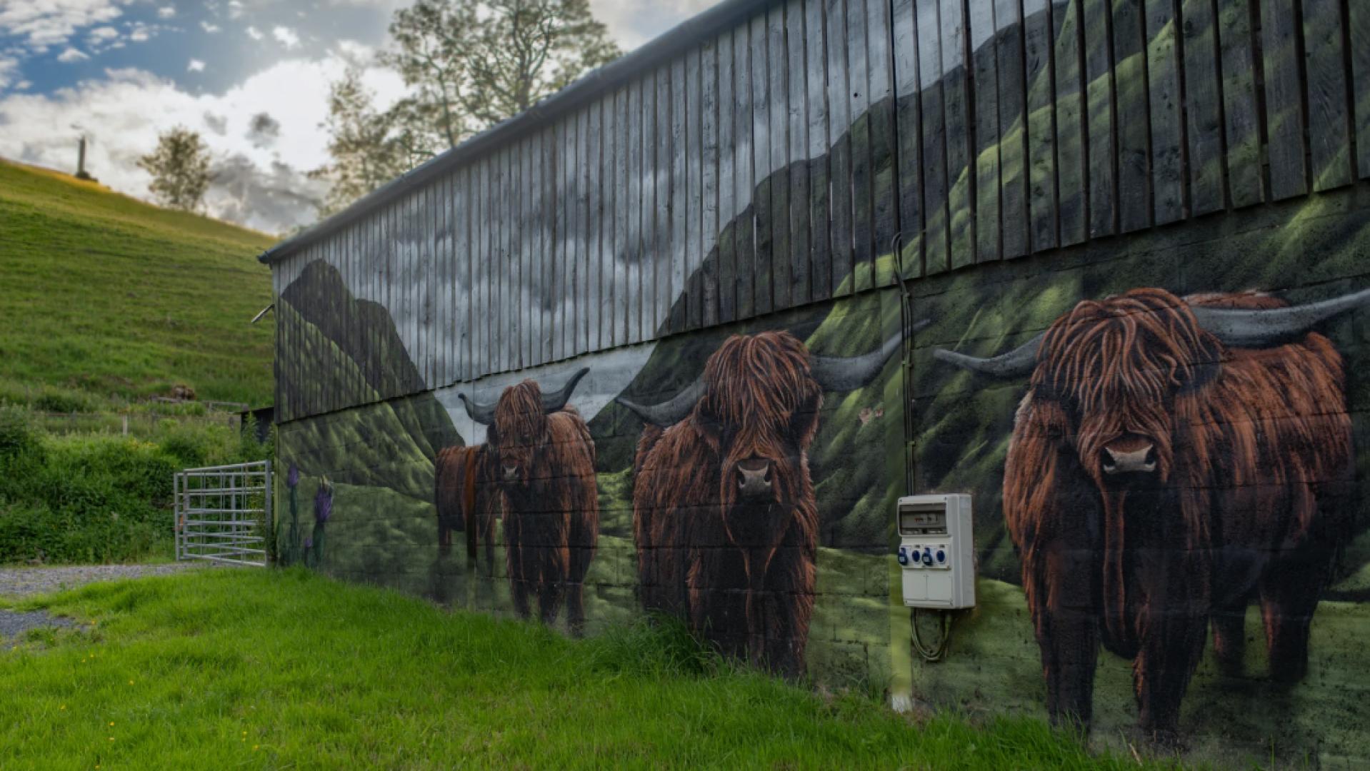 Image #3 for The Coo Shed