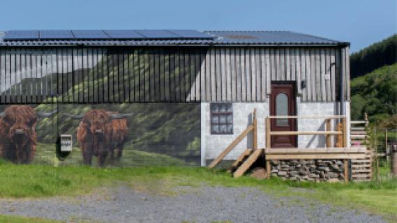 The Coo Shed