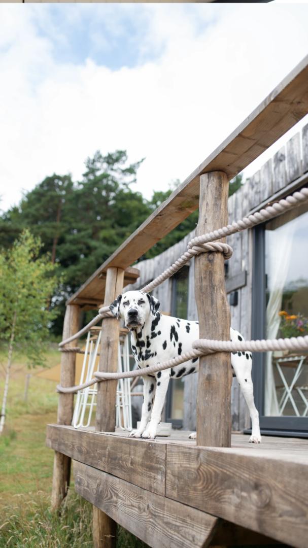 Image #5 for Peak District Hideout