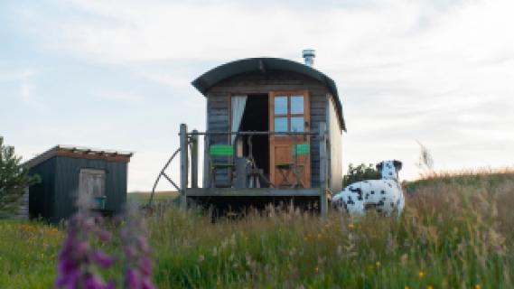Barmoffity Shepherds Hut