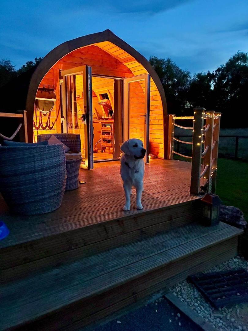 Image #2 for Woodpecker Cabin