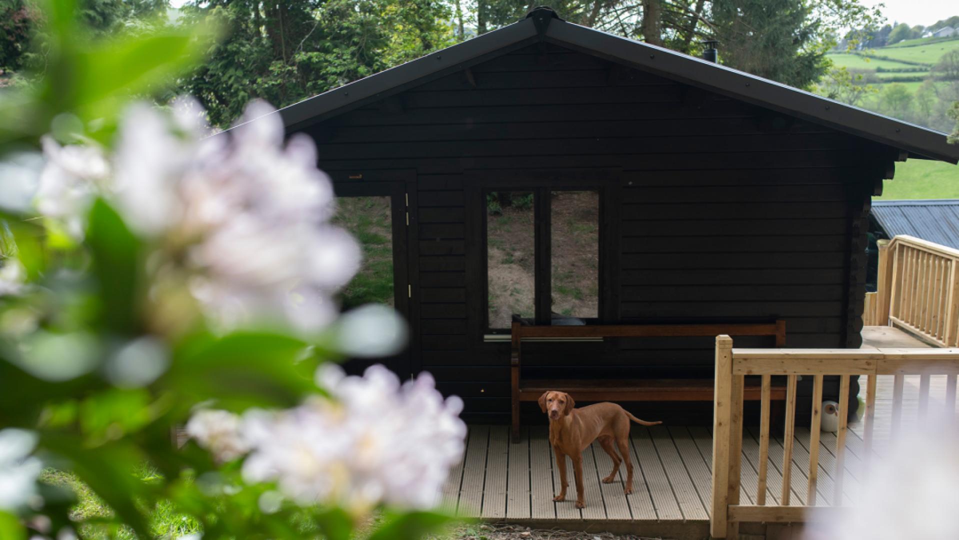 Image #3 for Red Dog Retreat
