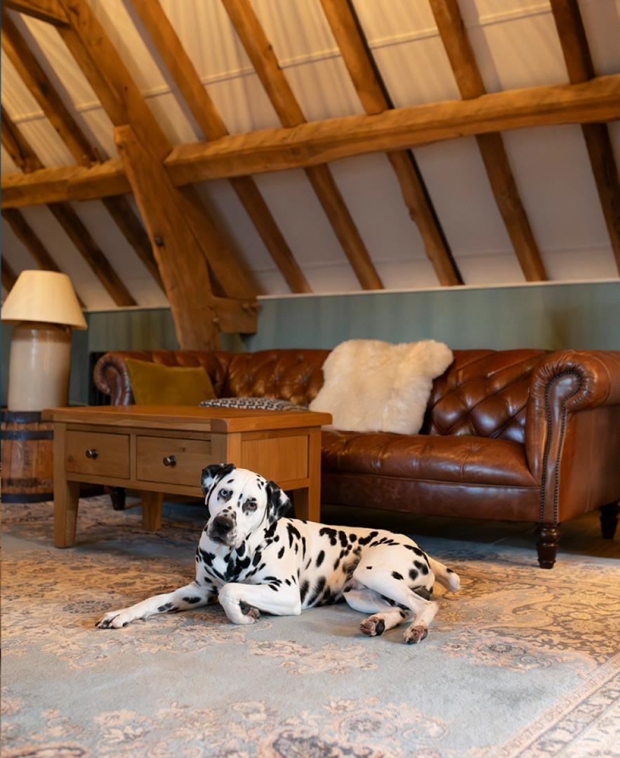 Image #4 for The Hayloft