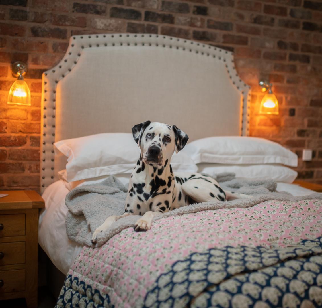 Image #7 for The Old Dairy | Rowley Farm Holidays