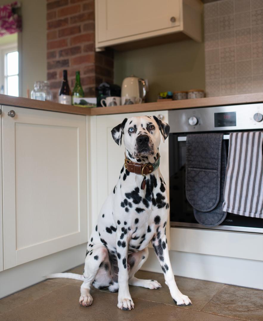 Image #2 for The Old Dairy | Rowley Farm Holidays