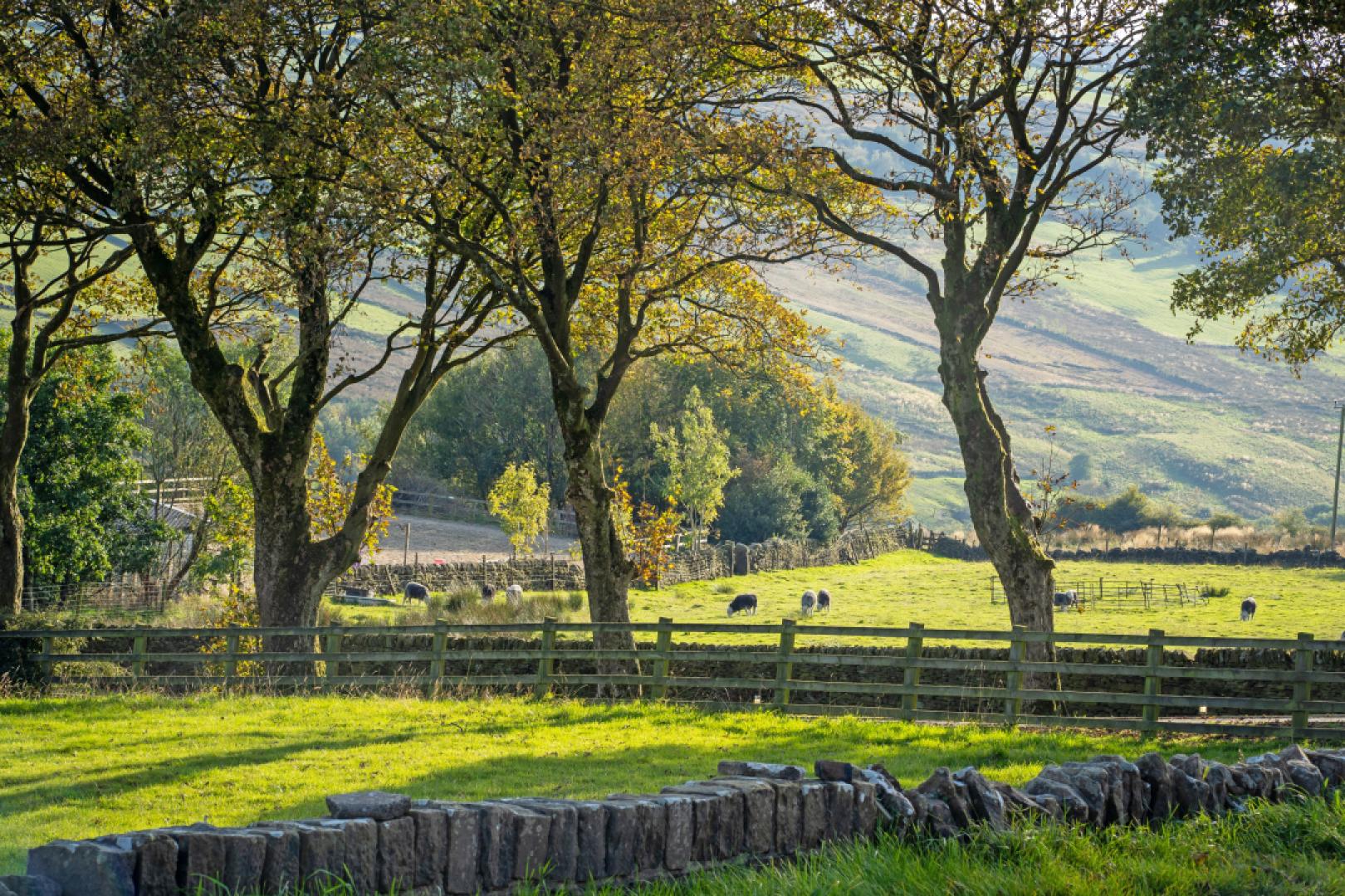 Image #4 for Farways Den