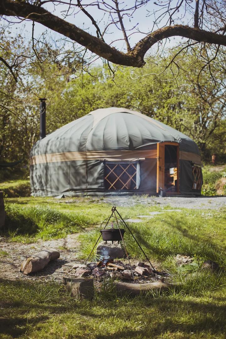 Image #5 for The Country Yurt | The Welsh Farm Glamping