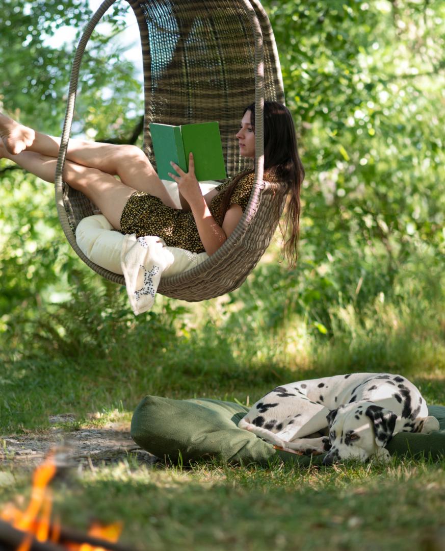 Image #7 for The Country Yurt | The Welsh Farm Glamping